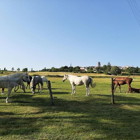 Domaine Laloubin Villa Montagnac-sur-Auvignon Buitenkant foto